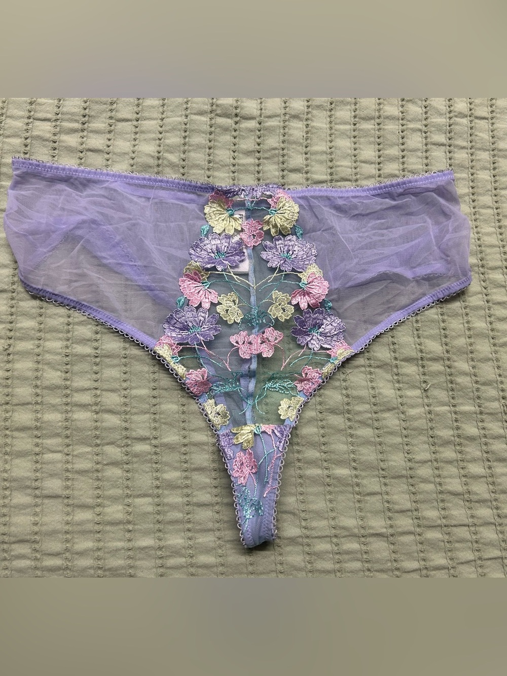 Luna Pastel Embroidered High Waisted Thong